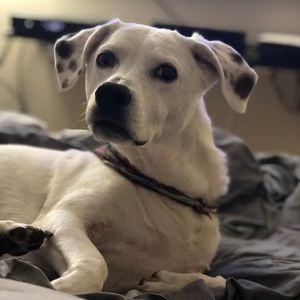 Meet your Posher, Joseph